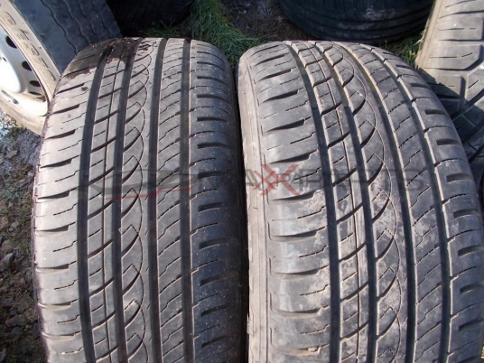 2бр. гуми AUTOGRIP RADIAL F106  225/55R16  DOT4309
