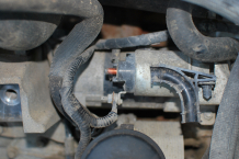 Стартер за Ford Ranger 3.2D