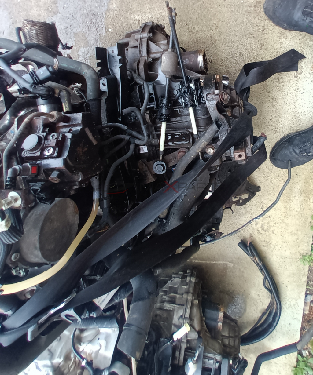 ДВИГАТЕЛИ M9T ВСИЧКИ ВИДОВЕ RENAULT MASTER 2011-2018